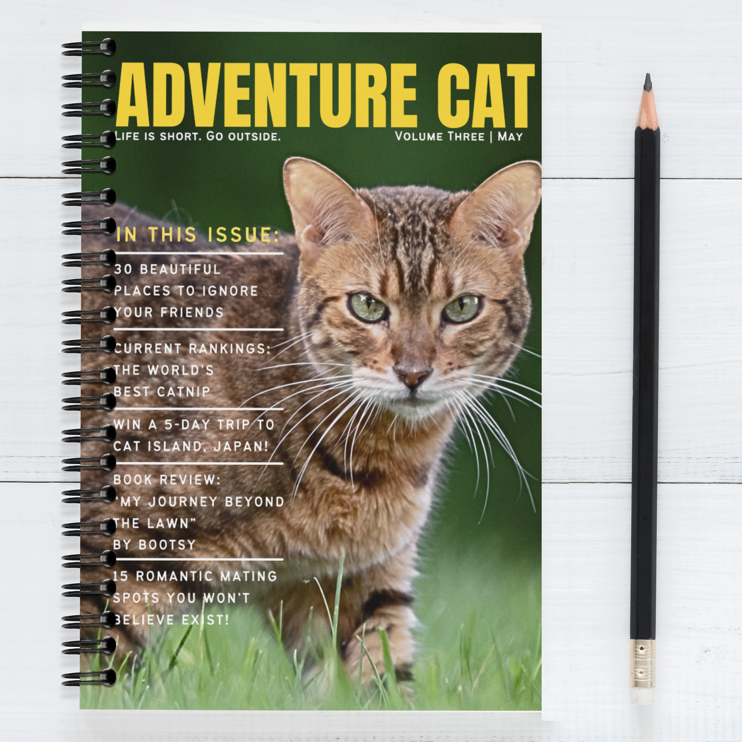 ADVENTURE CAT - Blank Journal/Notebook